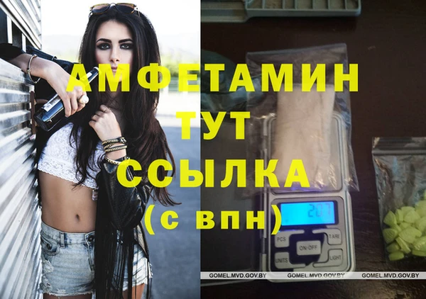 гашик Алзамай