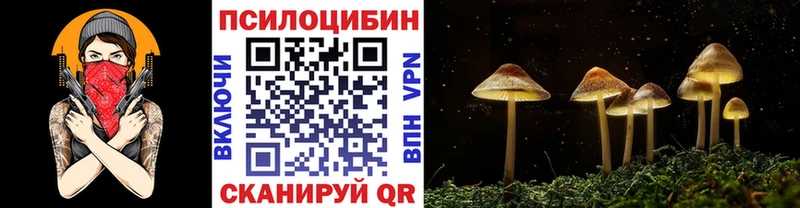 Псилоцибиновые грибы мицелий  Купить  Бежецк 